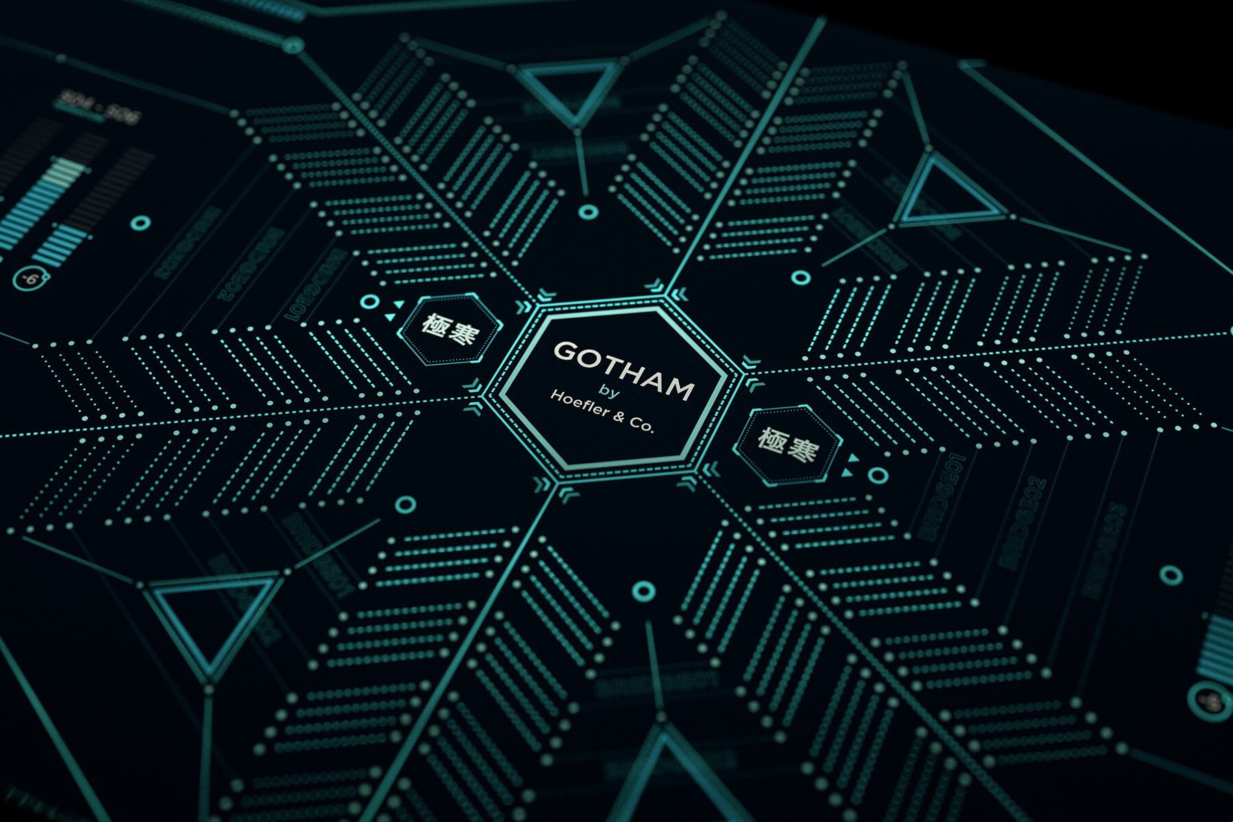 Whole picture of GOTHAM